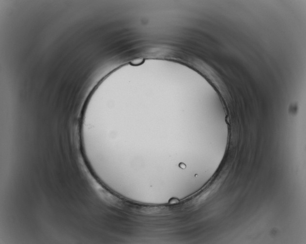 X0000100381434200807031915