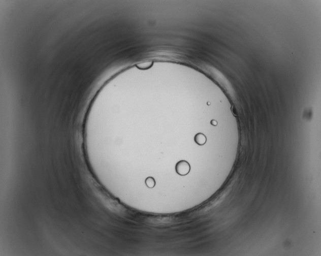 X0000100381435200807031915