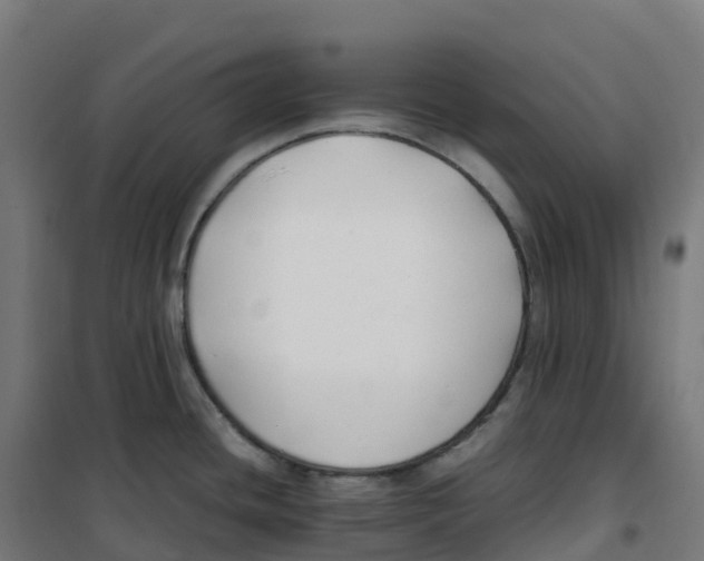 X0000100381436200807031915
