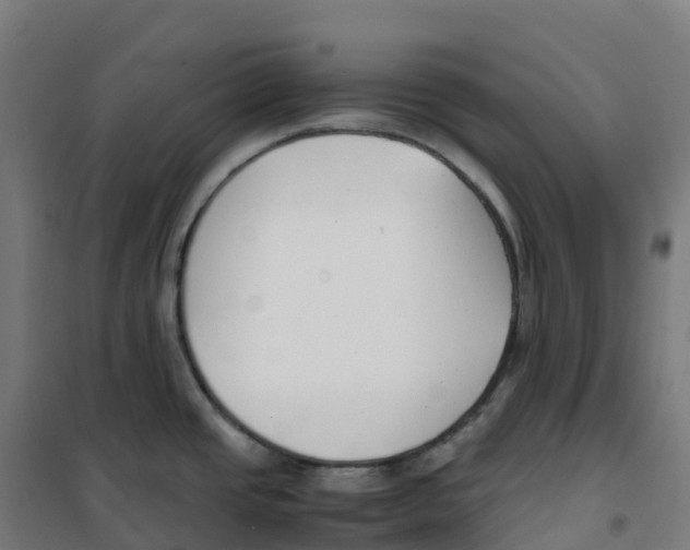 X0000100381437200807031915