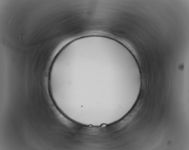 X0000100381438200807031915