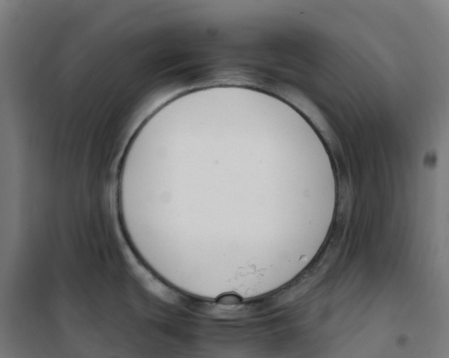 X0000100381439200807031915