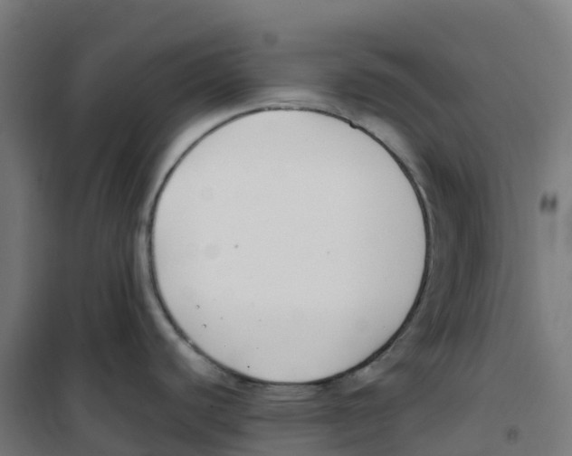 X0000100381440200807031915