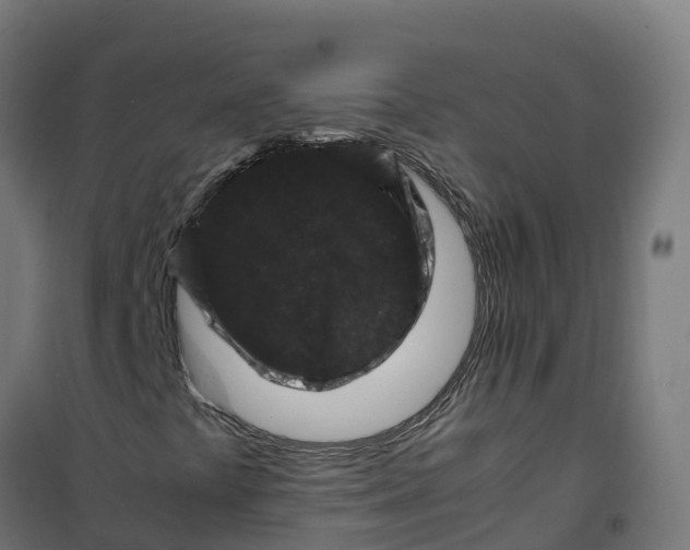 X0000100381441200807031914