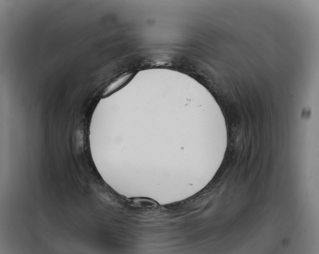 X0000100381442200807031914