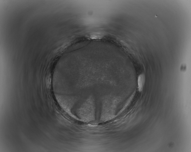 X0000100381443200807031914