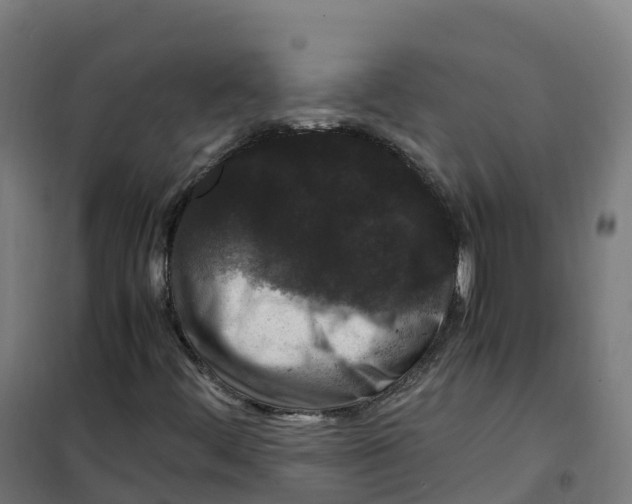 X0000100381444200807031914