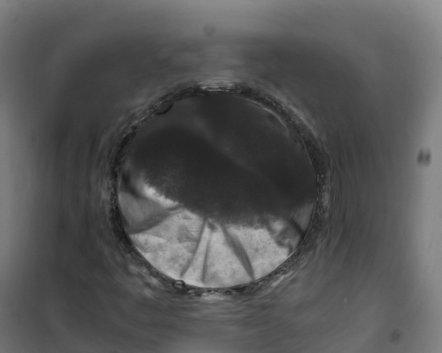 X0000100381445200807031914