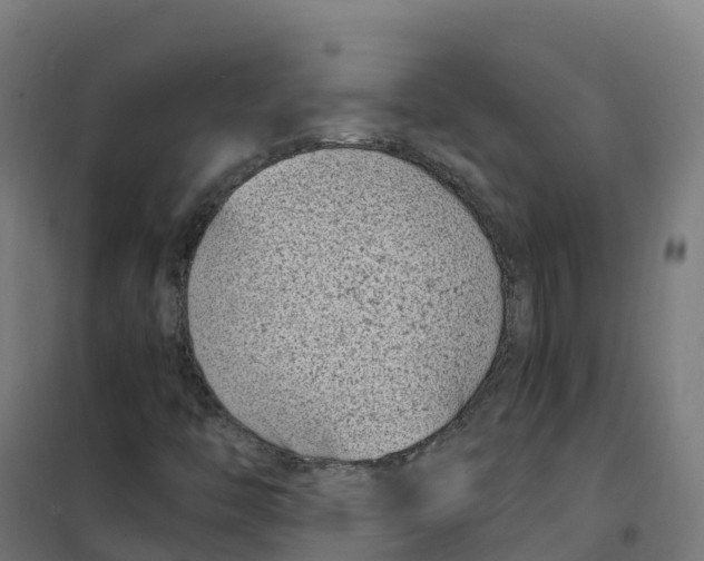 X0000100381446200807031914