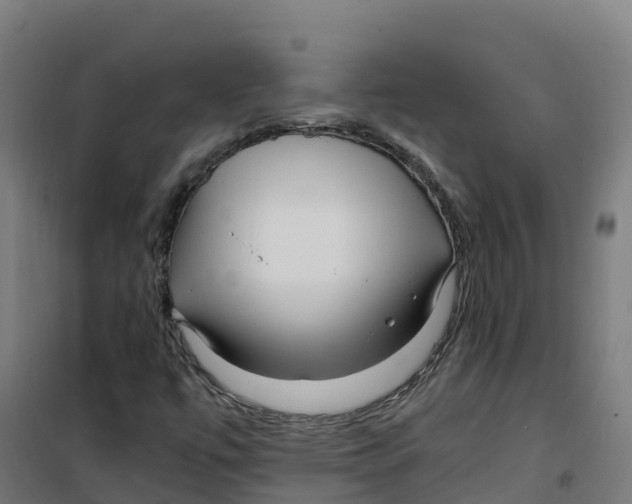 X0000100381447200807031914