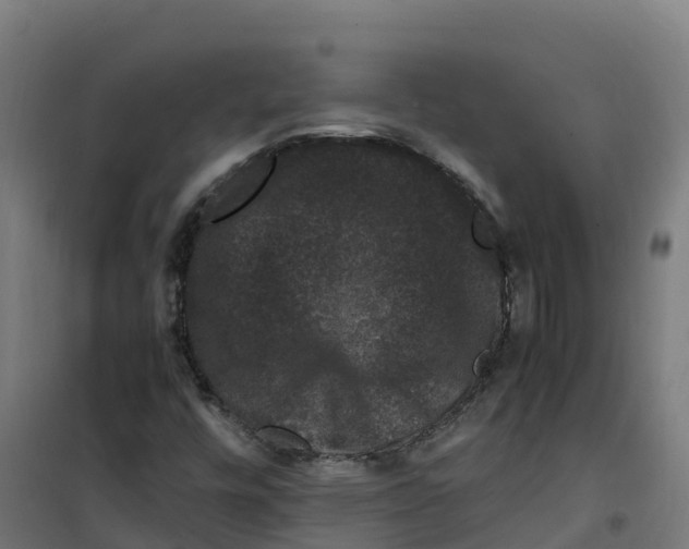 X0000100381448200807031914
