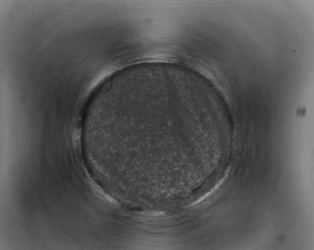 X0000100381450200807031914