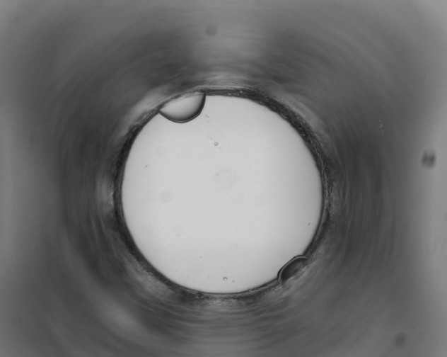 X0000100381451200807031914