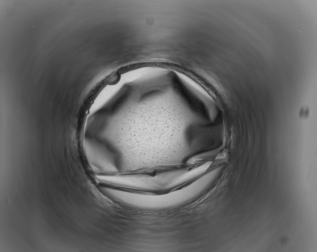 X0000100381452200807031914