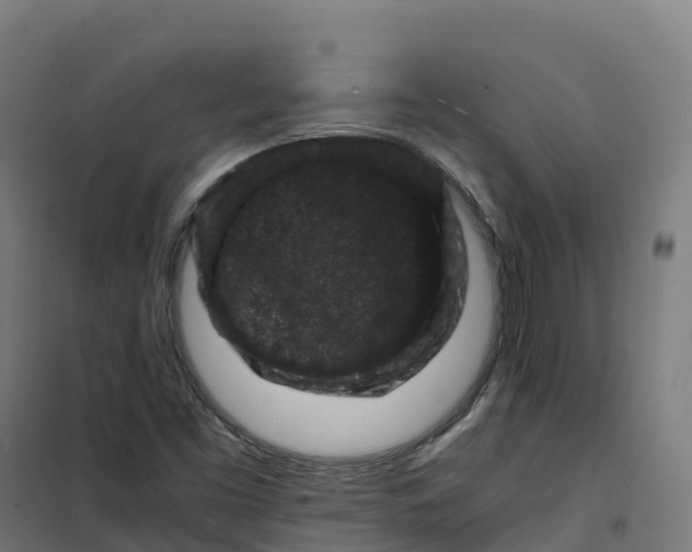 X0000100381453200807031914