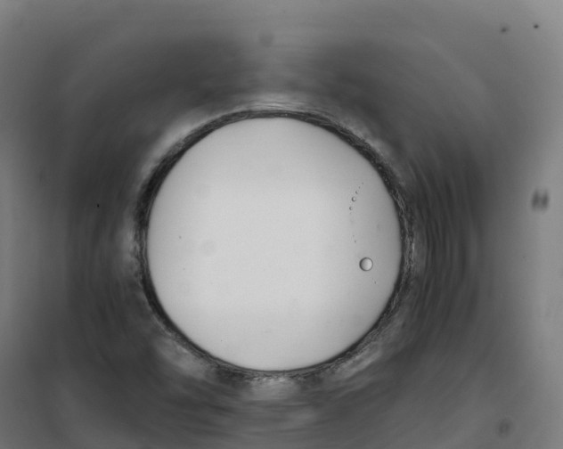 X0000100381454200807031914