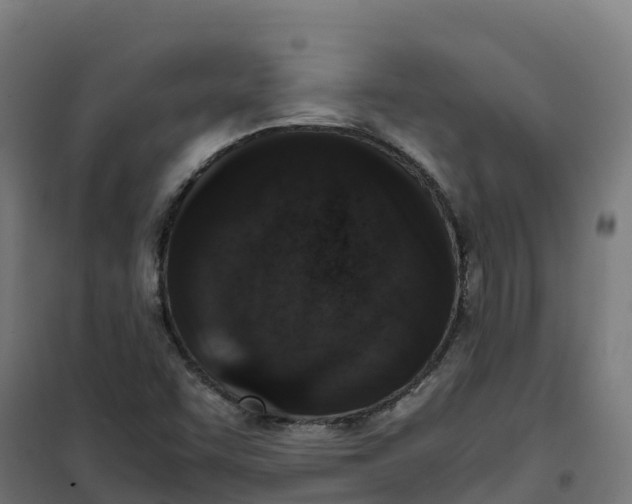 X0000100381455200807031914