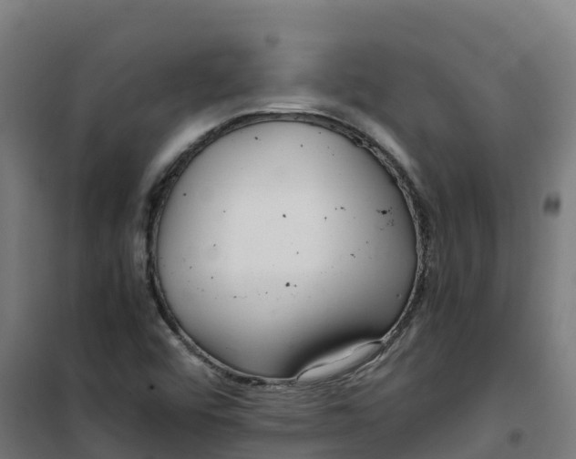 X0000100381456200807031914