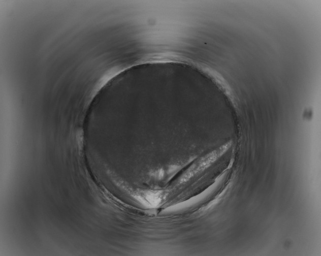 X0000100381457200807031914