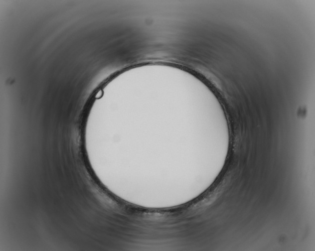 X0000100381458200807031914