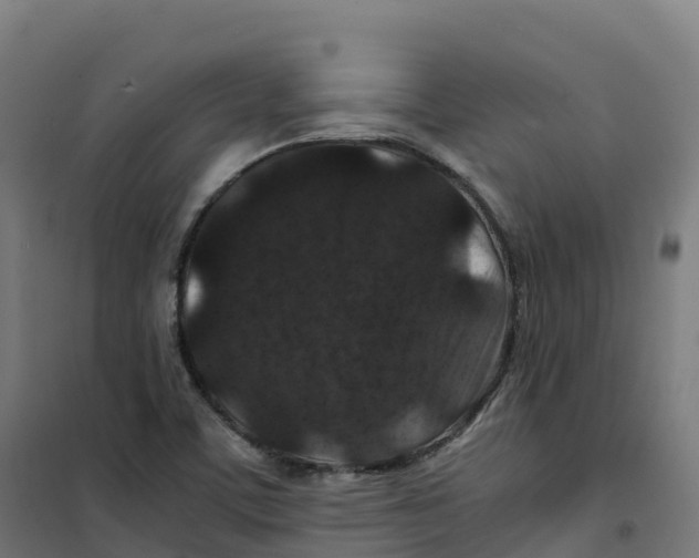 X0000100381459200807031914