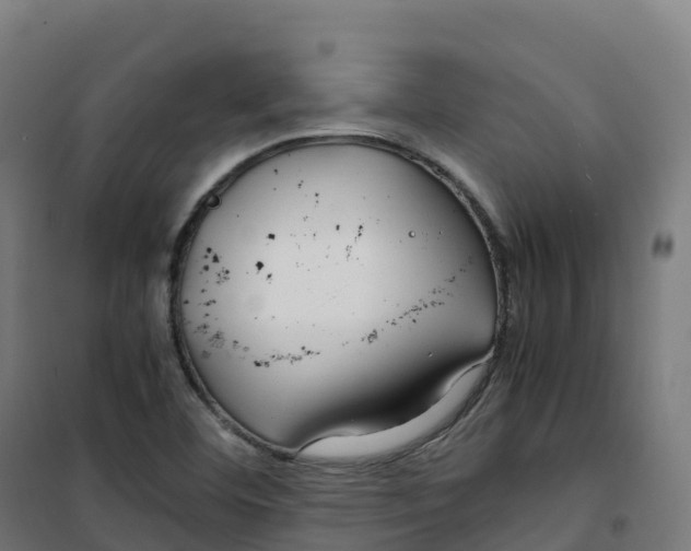 X0000100381460200807031914