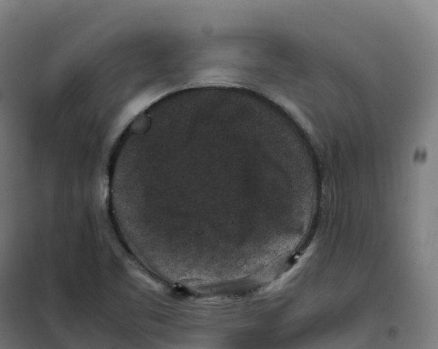 X0000100381461200807031914
