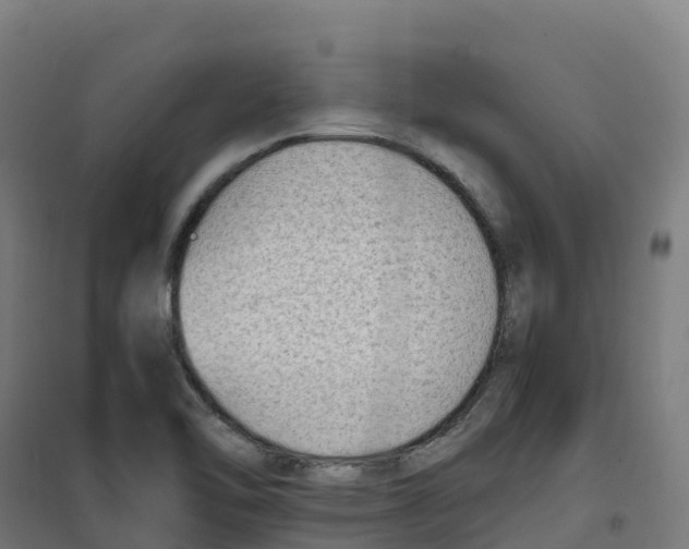 X0000100381462200807031914