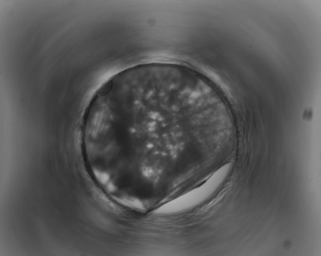 X0000100381463200807031914