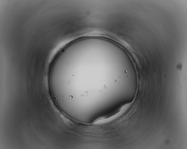 X0000100381464200807031914