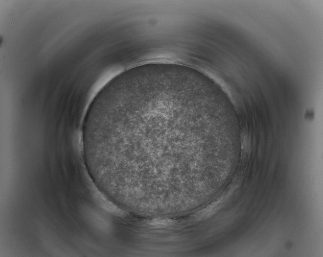 X0000100381466200807031914