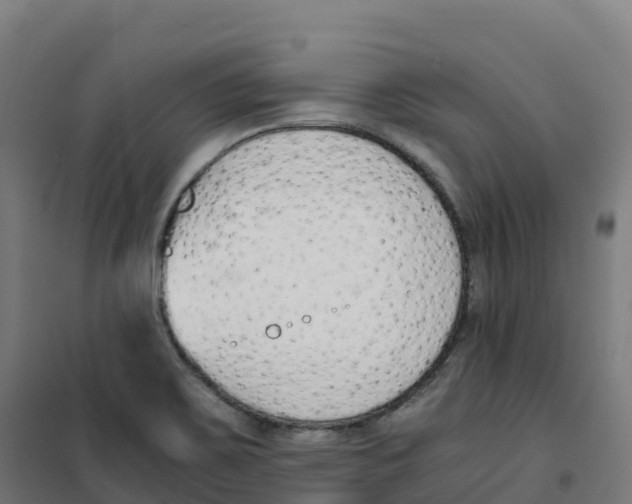 X0000100381467200807031914