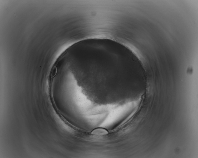 X0000100381468200807031914