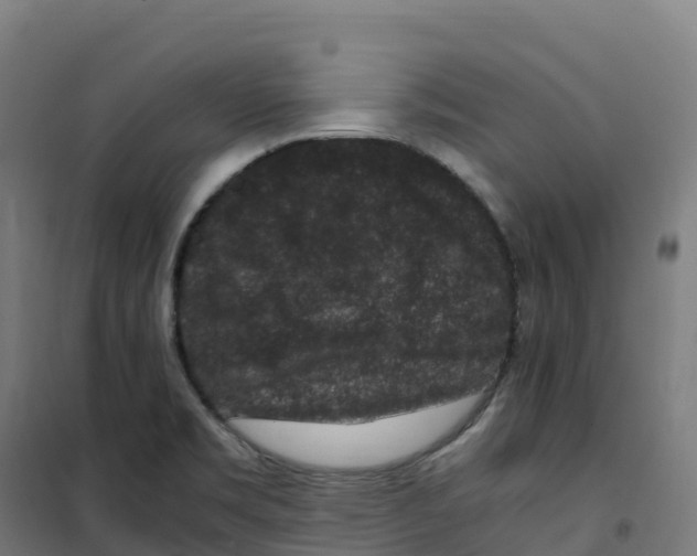 X0000100381469200807031914