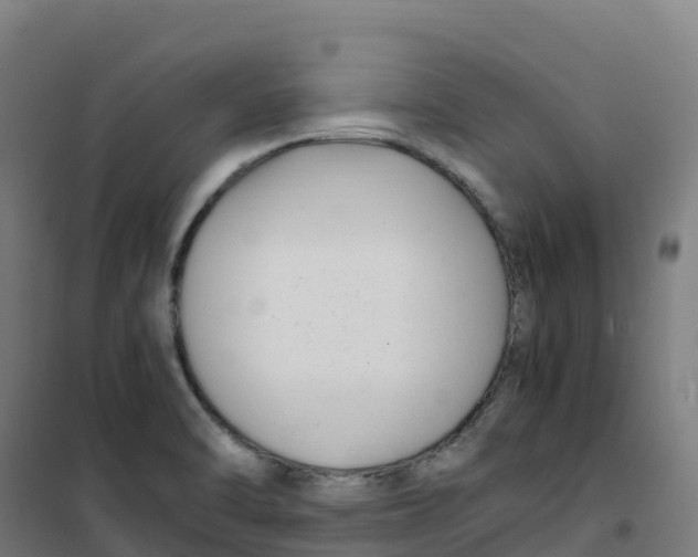 X0000100381470200807031914