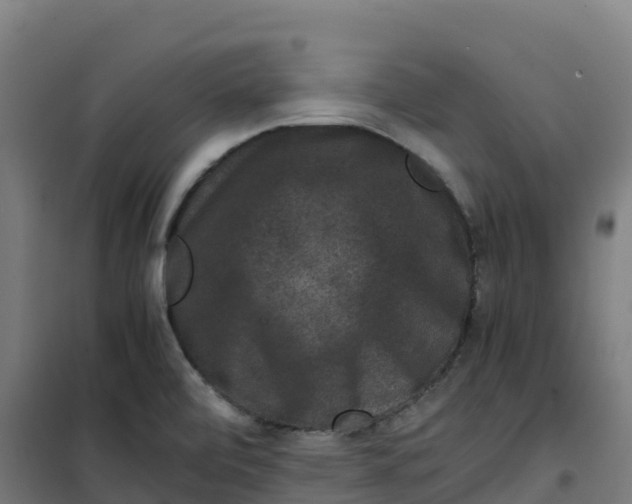 X0000100381472200807031914