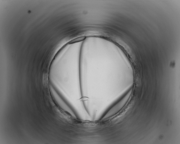 X0000100381473200807031914