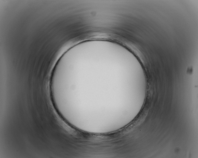 X0000100381475200807031914