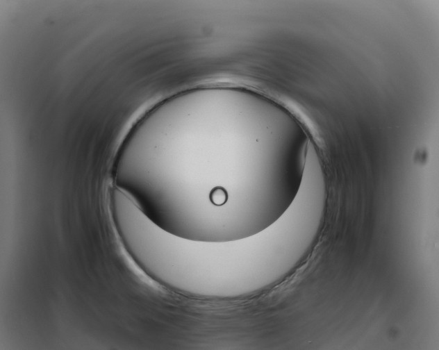 X0000100381476200807031914