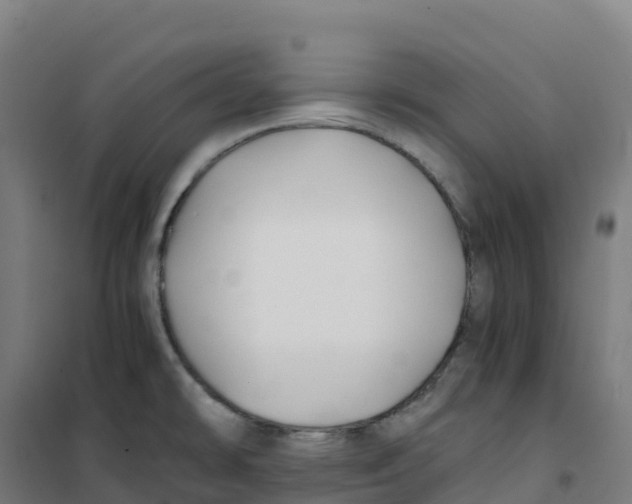 X0000100381478200807031914