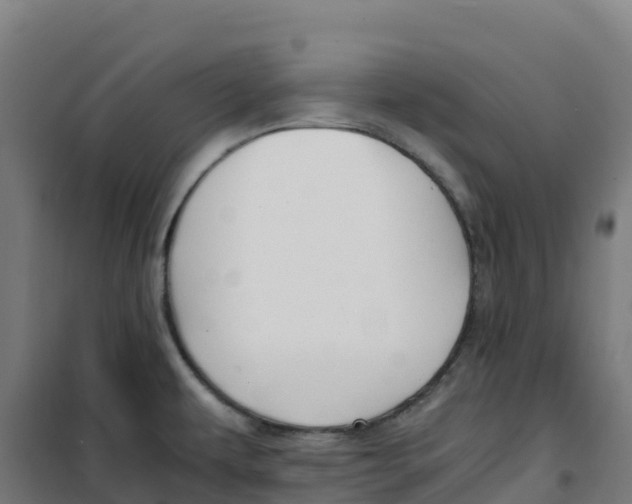 X0000100381479200807031914