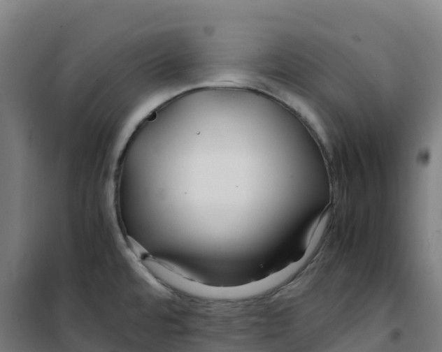X0000100381480200807031914