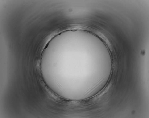 X0000100381481200807031914