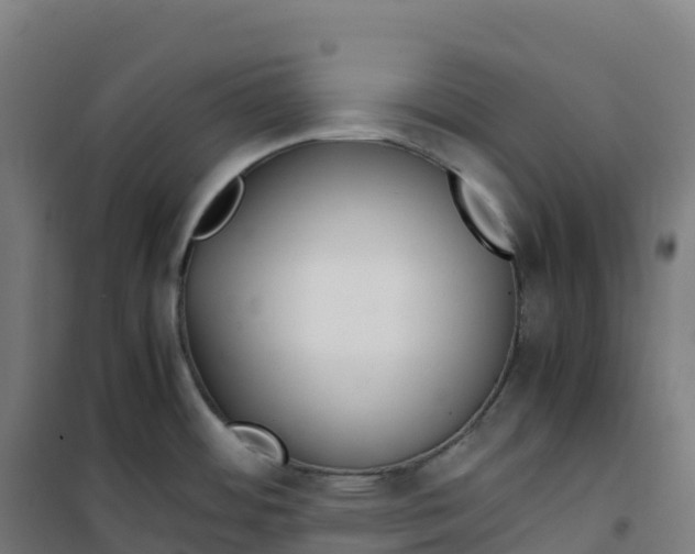 X0000100381484200807031913