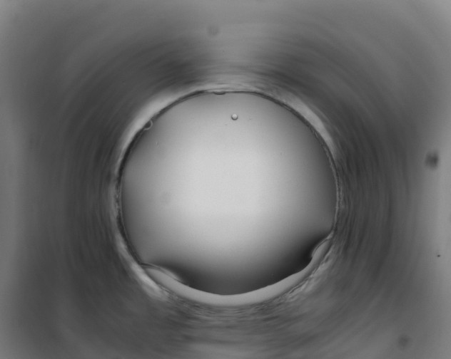 X0000100381485200807031913
