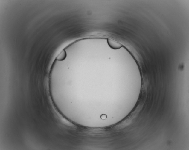 X0000100381486200807031913