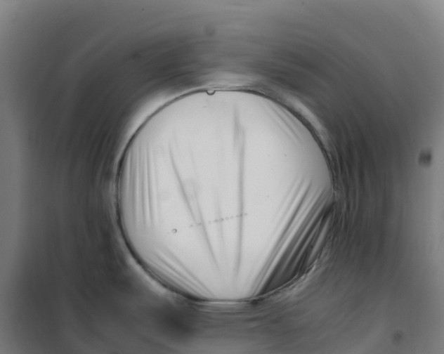 X0000100381487200807031913