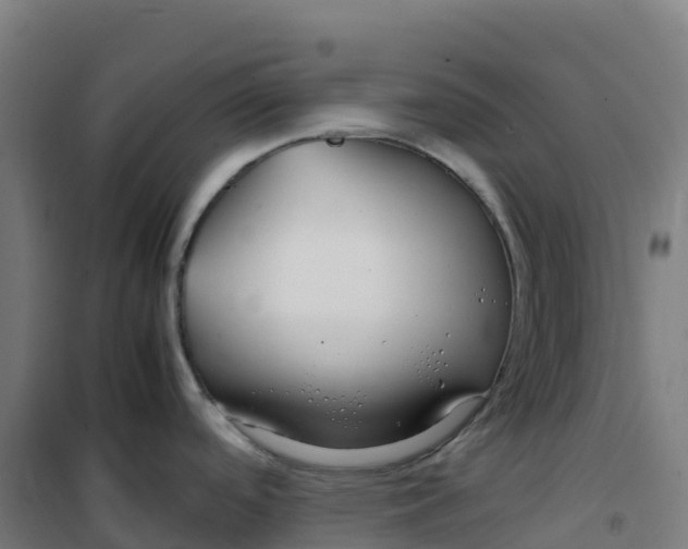 X0000100381488200807031913