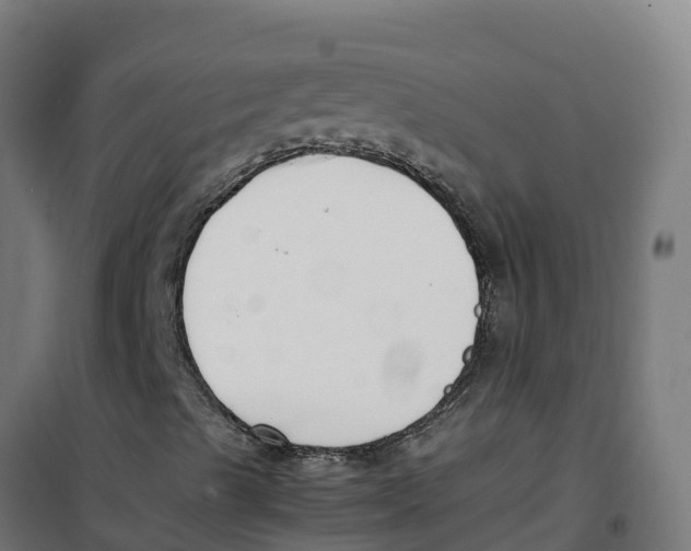 X0000100381489200807031913