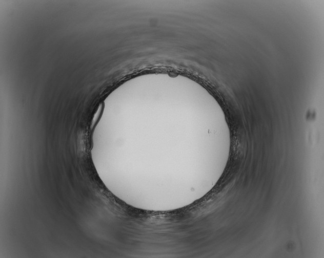 X0000100381490200807031913